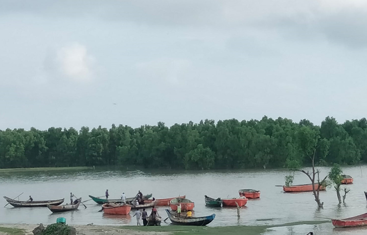 বিস্তৃত চরজুড়ে কেওড়া গাছের সমহার। আছে হরেক রকমের বৃক্ষ। পথে পথে দেখা মিলে সামুদ্রিক বিভিন্ন প্রজাতির মাছ।  ছবি: এম মাঈন উদ্দিন