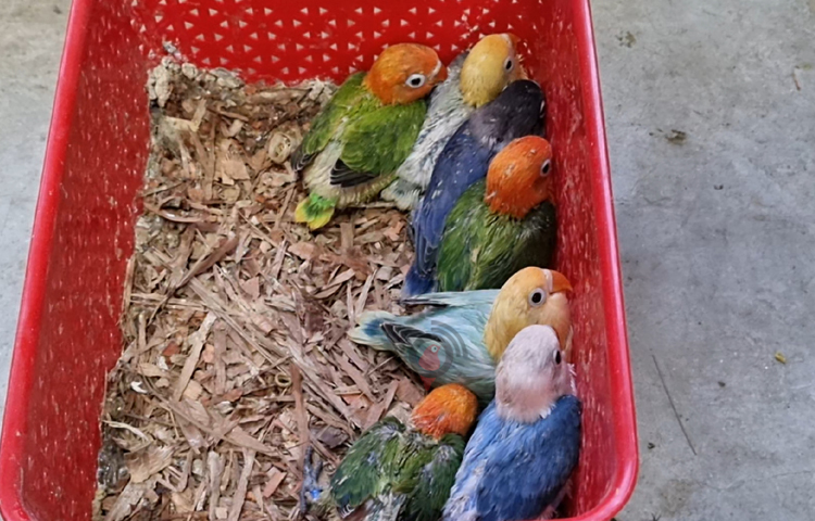 ঢাকায় পড়াশোনার দিনগুলো ছিল তার জন্য ভীষণ চ্যালেঞ্জের। শারীরিকভাবে প্রতিবন্ধী হওয়ায় বাস থেকে নামতে গিয়ে বেশ কয়েকবার আহতও হয়েছেন। পড়াশোনা শেষ করে চাকরিতে প্রবেশ ছিল আরও চ্যালেঞ্জের। তবে দমে যাননি তিনি। চাকরি জীবনে প্রতিটি প্রতিষ্ঠানে নিজ কর্মদক্ষতার গুণে কয়েক মাসের মধ্যেই পেয়েছিলেন পদোন্নতি। ছবি: বিধান মজুমদার অনি