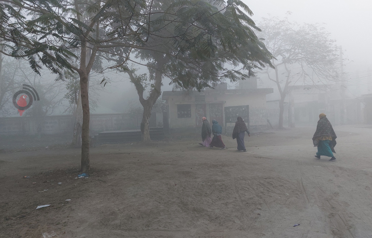 পঞ্চগড়ে টানা চারদিনের মৃদু থেকে মাঝারি শৈত্যপ্রবাহের সঙ্গে উত্তরের শীতল বাতাসে বিপর্যস্ত জনজীবন। ছবি: সফিকুল আলম