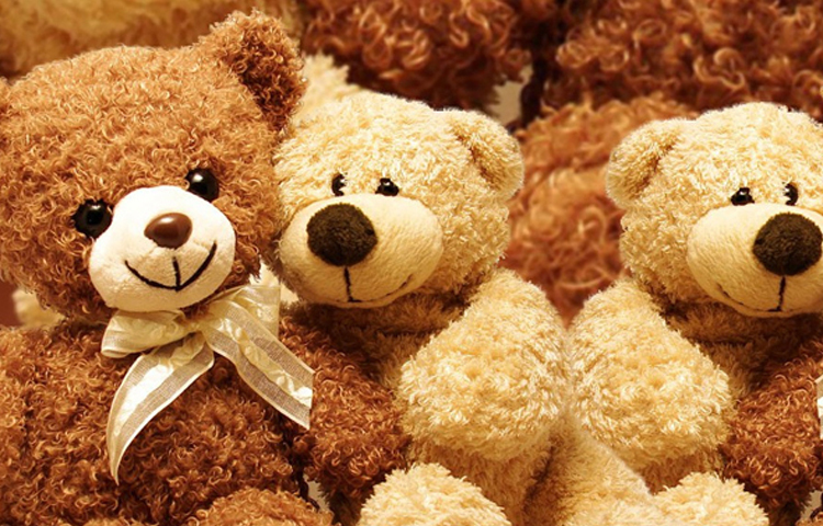 ভাল্লুকটিকে ছেড়ে দেন মার্কিন রাষ্ট্রপতি। থিওডোরের এই ঘটনার কথা সঙ্গে সঙ্গে রটে যায়। তার এই মানবিক গুণ কার্টুনে ফুটিয়ে তোলেন ক্লিফোর্ড বেরিম্যান। কার্টুনে দেখা যায় একটা মিষ্টি ভাল্লুককে। কার্টুনটি জনপ্রিয় হয়েছিল। একই সঙ্গে সেই ভাল্লুকটিই জনপ্রিয় হয়ে যায়। এর পর মরিস মিকটোম ওই কার্টুন ভাল্লুকের আকারে একটী খেলনা পুতুল তৈরি করেন। যেটি টেডি হিসেবে জনপ্রিয় হয়ে ওঠে। ছবি: সংগৃহীত