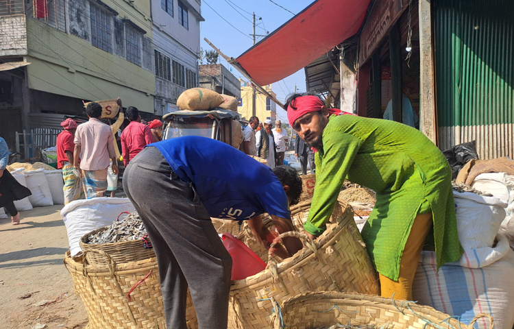 দেশের সবচেয়ে বড় শুঁটকির বাজার চট্টগ্রাম থেকে এ বাজারের ব্যবসায়ীরা এসব শুঁটকি কিনে আনেন। পরে তারা খুচরা ও পাইকারি দরে বিক্রি করেন। সপ্তাহের শনি ও মঙ্গলবার ক্রেতার সমাগম হয় সবচেয়ে বেশি। ছবি: নাসিম উদ্দিন