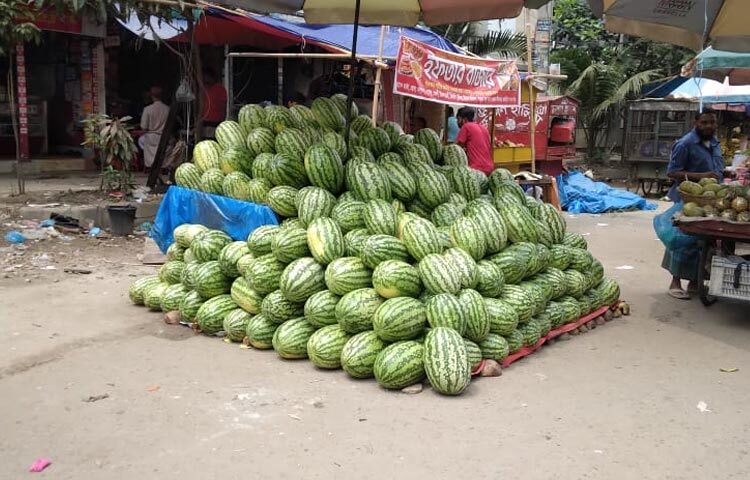 তরমুজের দাম অনেকটা কমেছে। রোজার শুরুতে তরমুজের যে দাম ছিল, তা দুই সপ্তাহের ব্যবধানে অর্ধেকে নেমেছে। এখন ৪৫ থেকে ৫০ টাকার মধ্যে মিলছে প্রতি কেজি তরমুজ। কোথাও কোথাও ৪০ টাকা দরেও পাওয়া যাচ্ছে। আবার কোথাও প্রতি পিস বড় তরমুজ ২০০ টাকার মধ্যে বিক্রি হচ্ছে। ছবি: নাজমুল হোসাইন