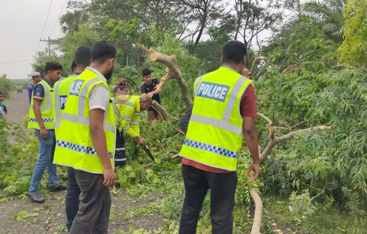 ভেঙে পরা গাছের ডাল রাস্তা থেকে সরিয়ে চলাচলের উপযোগী করে তুলছেন পুলিশ সদস্যরা। ছবি: আসাদুজ্জামান মিরাজ