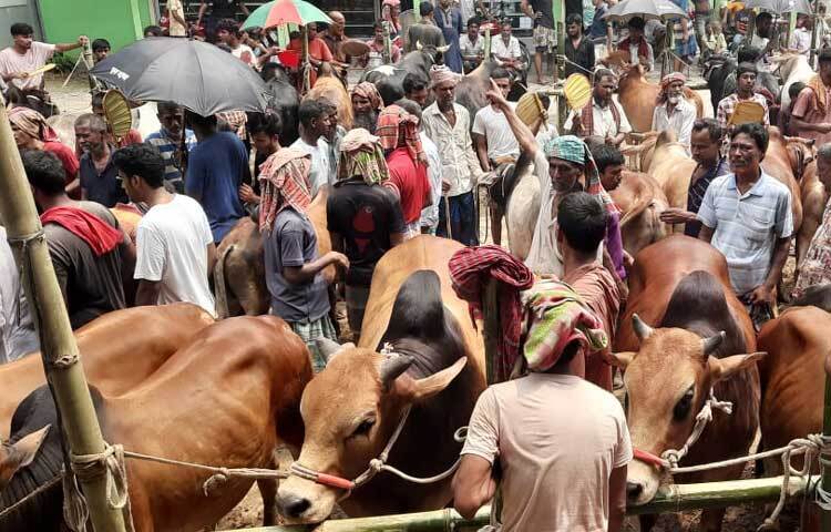 সারাদেশের মতো জমে উঠেছে সিরাজগঞ্জ সদর উপজেলার শত বছরের ঐতিহ্যবাহী কালিয়া কান্দাপাড়া হাট। ছবি: মাহবুবুল ইসলাম পলাশ