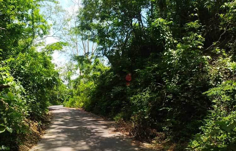 মূলত মিরসরাই ও ফটিকছড়ি উপজেলার বনজীবী মানুষদের যাতায়াতের অন্যতম একটি পথ হিসেবে ব্যবহার হতো এটি। এখন ব্যবসা-বাণিজ্য, চিকিৎসাসহ নানা কাজে দুই উপজেলার মধ্যে সেতুবন্ধ তৈরি করেছে এ সড়ক। ছবি: এম মাঈন উদ্দিন