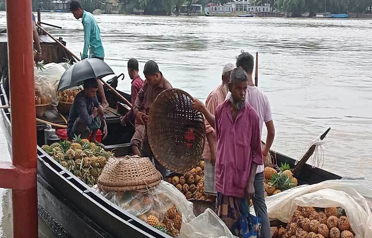 কৃষি বিভাগের তথ্যমতে, চলতি মৌসুমে পাহাড়ি টিলায় প্রায় চার হাজার মেট্রিক টন আনারস উৎপাদন হয়েছে। যার বাজার মূল্য ১৬ কোটি টাকা। ছবি: লিপসন আহমেদ