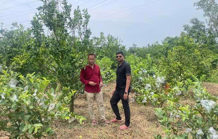 বাগান পরিচর্যা করছেন নাশিদ ও মেহেদী হাসান। ছবি: এম মাঈন উদ্দিন