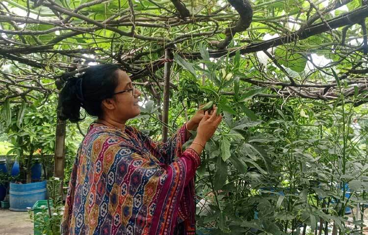 প্রতিদিন সকাল ও বিকেলে নিয়ম করে বাগানের যত্ন নেন নাসরিন ইসলাম। ক্লাসসহ নানা ব্যস্ততা থাকায় তেমন সময় না পেলেও সুযোগ পেলেই বাগানের যত্ন নেন ড. শহীদও। ছবি: হাসান আলী