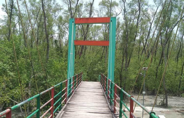 পর্যটনকেন্দ্রগুলোর উন্নয়ন, আবাসন ব্যবস্থা ও যোগাযোগের সুযোগ-সুবিধা বৃদ্ধি পেলে বরগুনা দেশি-বিদেশি পর্যটকদের কাছে আরো আকর্ষণীয় হয়ে উঠবে।