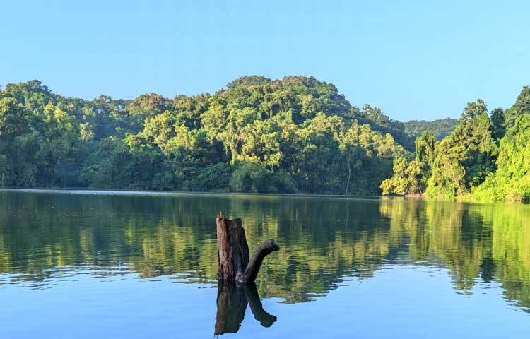 মিরসরাই উপজেলার ওয়াহেদপুর ইউনিয়নের ছোটকমলদহ বাজারের দক্ষিণ পাশে ঢাকা-চট্টগ্রাম মহাসড়কের দেড় কিলোমিটার পূর্বে বাওয়াছড়া লেকটির অবস্থান। বাওয়াছড়া লেকটি মিরসরাইয়ের ওয়াহেদপুর গ্রামের বারমাসি ছড়ার মুখে অবস্থিত বলে লেকটির নামকরণ করা হয়েছে বাওয়াছড়া লেক।
