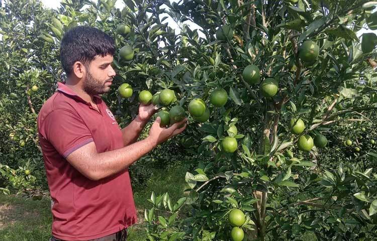 ফাহিম নীলফামারীর ডোমার উপজেলার মির্জাগঞ্জ গ্রামের মোজাম্মেল হক ও মোছা. ফরিদা বেগমের সন্তান। মির্জাগঞ্জ বহুমুখী উচ্চ বিদ্যালয় থেকে এসএসসি ও রংপুর ক্যান্টনমেন্ট পাবলিক স্কুল অ্যান্ড কলেজ থেকে এইচএসসি পাস করে ভর্তি হন রাজশাহী বিশ্ববিদ্যালয়ের লোকপ্রশাসন বিভাগে।