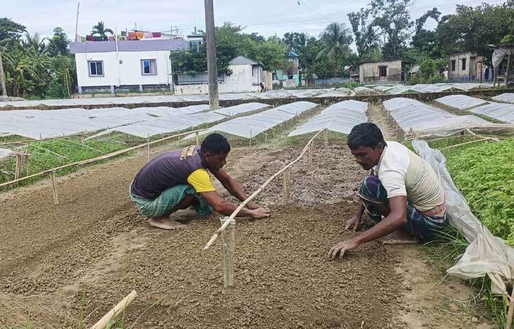 বন্যার ক্ষয়ক্ষতি কাটিয়ে উঠতে ব্যস্ত সময় পার করছেন চাষিরা। পুরোদমে চলছে বেচাকেনা।
