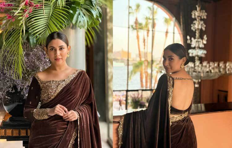 ফুলস্লিভ ও ব্যাকলেস ব্লাউজের সঙ্গে কফি রঙের ভেলভেটের শাড়িতে অপরূপা মেহজাবীন।