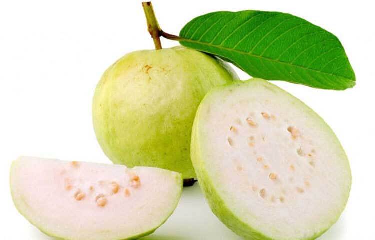 পেয়ারায় প্রচুর ভিটামিন সি থাকে, যা শরীরের রোগপ্রতিরোধ ক্ষমতা বৃদ্ধি করে।