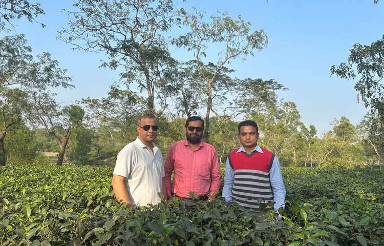 পরিকল্পনা, দক্ষ ব্যবস্থাপনা ও নিরলস পরিচর্যা ও যত্নে নষ্ট বাগানটিতে লাগে প্রাণের ছোঁয়া। বাগানের ব্যবস্থাপনা পরিচালক নাদের খানের চেষ্টা ও নিরলস পরিশ্রমই মৃতপ্রায় বাগানটিকে আজ দেশের সেরা বাগানের তালিকায় জায়গা করে নিয়েছে।