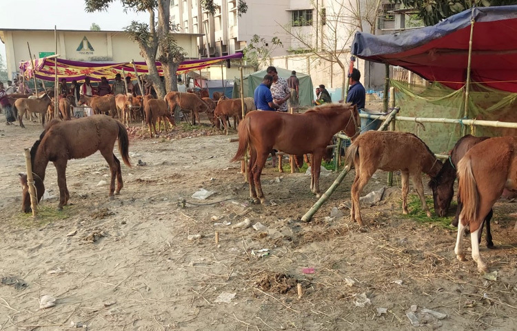 মেলা আয়োজকদের তথ্যমতে, ৫১৭ বছরেরও বেশি সময় ধরে গোপিনাথপুরে দোল পূর্ণিমার সময় এই মেলা বসে।