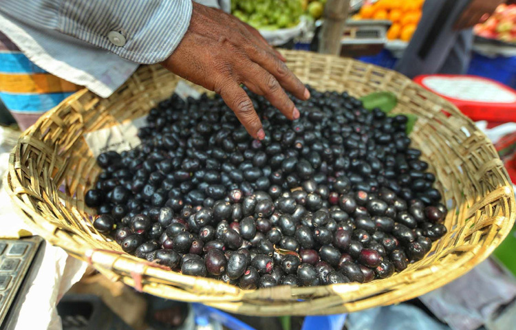 জাম বিক্রি হচ্ছে ২০০ থেকে ২৫০ টাকা কেজি দরে। কচকচে রঙের এই ফলে এখন ভরপুর বাজার।