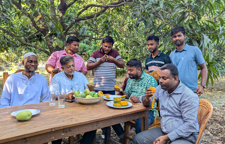 পুরো এলাকায় চাহিদা বাড়তে থাকতে তার আমের। সবমিলিয়ে তিনি প্রতি বছর ৫-৬ লাখ টাকার আম বিক্রির স্বপ্ন দেখছেন।