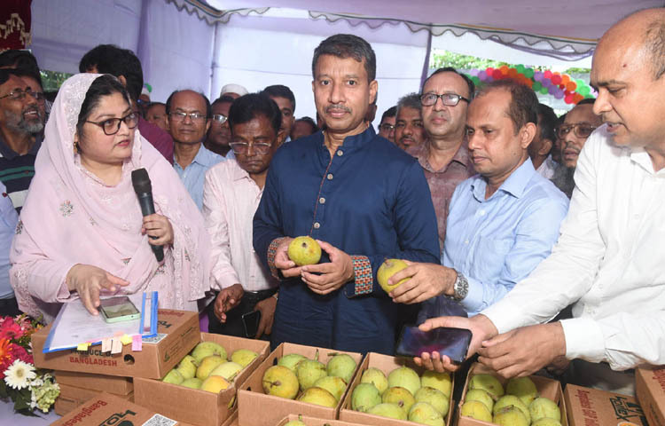 কৃষি মন্ত্রণালয়ের সচিব ড. মোহাম্মদ এমদাদ উল্লাহ মিয়ান আজ ঢাকায় মানিক মিয়া এভিনিউয়ে পার্টনার প্রোগ্রামের আওতায় বাংলাদেশ উত্তম কৃষি চর্চা (জিএপি) অনুসরণ করে উৎপাদিত নিরাপদ আম বাজারজাতকরণ কার্যক্রম উদ্বোধন শেষে স্টল পরিদর্শন করেন। ছবি: পিআইডি