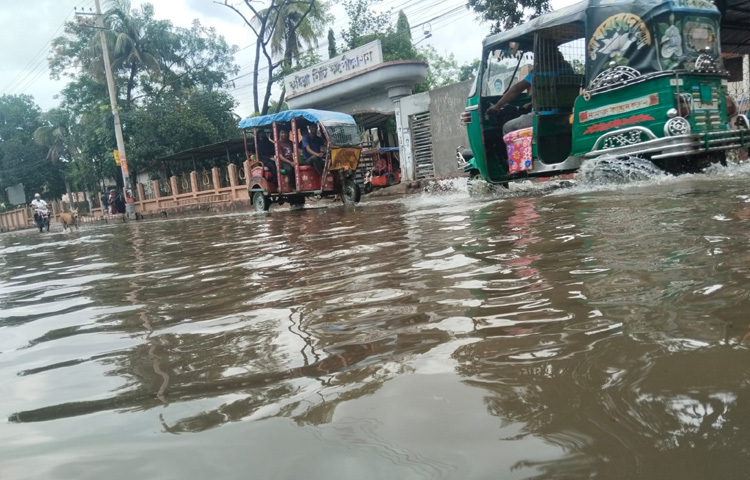 ছায়া বিতান এলাকার বাসিন্দা সাফিয়া বেগম বলেন, সামান্য বৃষ্টি হলেই এলাকায় পানি জমে। আর ভারি বৃষ্টি হলেতো বাসা বাড়িতে ঢুকে পড়ে। এতে সীমাহীন দুর্ভোগ পোহাতে হয়। এই কষ্ট দেখার যেন কেউ নেই।
