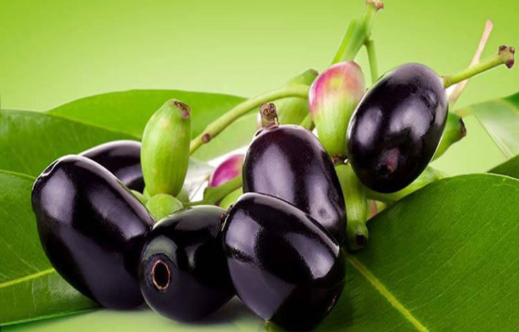 কম ক্যালোরি এবং বেশি ফাইবারের কারণে জাম দ্রুত পেট ভরাতে সাহায্য করে, যা ক্ষুধা কমায় এবং ওজন নিয়ন্ত্রণে রাখে।