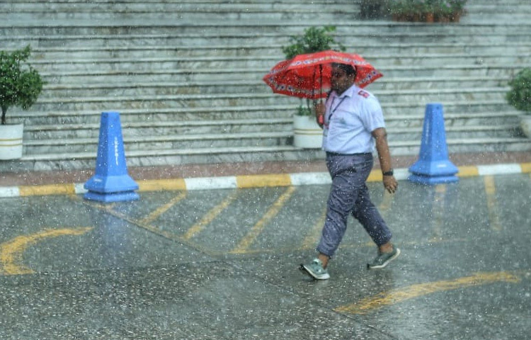 বৃষ্টি শহরকে শুধু ভেজায় না, বদলে দেয় তার ভাষা, তার ছন্দ। ধুলোবালি ঢাকা ব্যস্ত শহরটা কিছুক্ষণের জন্য থমকে দাঁড়ায়, মানুষ ফিরে পায় একটু নিজেকে। জাহাঙ্গীরগেটের এই দুপুরের দৃশ্য আমাদের আবারও মনে করিয়ে দেয় ঢাকা শুধু ইট-কাঠের শহর নয়, প্রতিদিনের খণ্ডচিত্রে গাঁথা এক আবেগঘন ক্যানভাস।