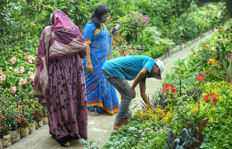 মেলায় প্রতিদিনই বসছে বিভিন্ন সচেতনতামূলক কর্মশালা, সেমিনার ও পরিবেশ সংরক্ষণ নিয়ে আলোচনা। ‘এক গাছ, এক জীবন’ স্লোগান নিয়ে মেলার অনেক স্টলে ক্রেতাদের সঙ্গে সরাসরি কথা বলছেন পরিবেশবিদ ও নার্সারির অভিজ্ঞরা। তারা জানাচ্ছেন, কোন গাছ কোথায় লাগানো ভালো, কেমন যত্ন প্রয়োজন, কীভাবে পরিবেশবান্ধব জীবনযাপন করা যায়।