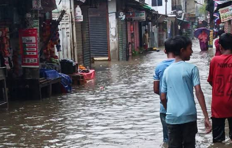 ফুলগাজী উপজেলা নির্বাহী কর্মকর্তা (ইউএনও) ফাহরিয়া ইসলাম জানিয়েছেন, মুহুরী নদীর পানি বাড়ছে, সড়ক বিচ্ছিন্ন হয়ে গেছে।