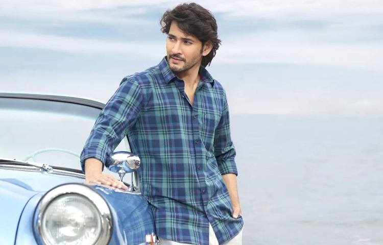 সহজ-সরল পোশাক, মার্জিত লুক আর আত্মবিশ্বাসী উপস্থিতি তাকে দিয়েছে এক রাজকীয় আবেদন। তার হাসি যেন এই স্টাইলকে পূর্ণতা দেয়।