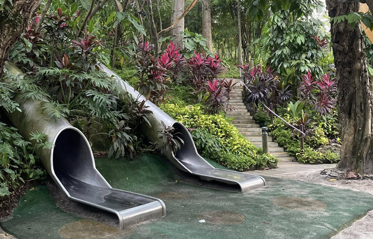 অভ্যন্তরীণ রাজনীতিতে ক্ষমতাসীন পিপলস অ্যাকশন পার্টির দীর্ঘ মেয়াদি শাসন রয়েছে, কিন্তু তরুণ প্রজন্মের মধ্যে আরও মুক্ত ও অংশগ্রহণমূলক রাজনৈতিক সংস্কৃতির চাহিদা বৃদ্ধি পাচ্ছে।