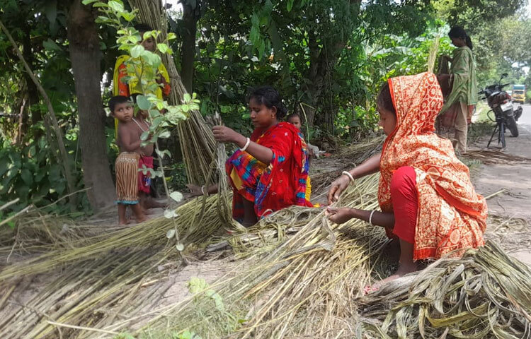 ঈশ্বরদী উপজেলা কৃষি কর্মকর্তা আব্দুল মমিন বলেন, ‘ঈশ্বরদী উপজেলায় ৩৬০ হেক্টর জমিতে পাট চাষ হয়েছে। পাটের ফলন খুব ভালো হয়েছে। গতবার পানির অভাবে জাগ দিতে সমস্যা হয়েছিল। এবার প্রচুর বৃষ্টিপাতে এ সমস্যা নেই। পাট প্রসেসিংয়ের ক্ষেত্রে নারীরা অগ্রণী ভূমিকা পালন করছেন। নারীরা পাটকাঠির বিনিময়ে প্রসেসিংয়ের কাজ করছেন। তারা আর্থিকভাবে স্বাবলম্বী হচ্ছেন। জ্বালানি হিসেবেও ব্যবহার করতে পারছেন।’