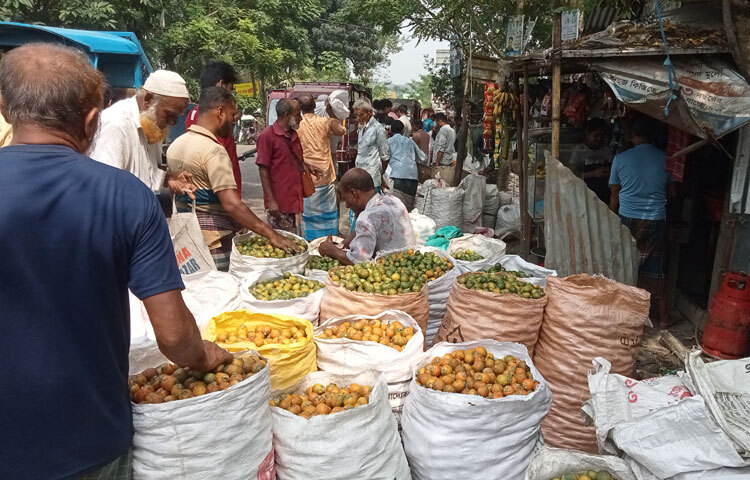 ঝালকাঠির ছত্রকান্দা, সিএন্ডবি বাজার,  রাজাপুরের বাগড়ি, লেবুবুনিয়া, বাদুরতলা, নাপিতেরহাট. নলছিটির ভৈরবপাশা, ষাটপাকিয়া, চাকলার বাজার, মানপাশা, মোল্লারহাট, কাঁঠালিয়ার কৈখালী, সাতানি বাজার, আমুয়াসহ জেলার বিভিন্ন হাটে প্রতিদিন প্রায় পাঁচ কোটি টাকার সুপারি ক্রয়-বিক্রয় হয়। এখানকার উৎপাদিত সুপারি স্থানীয় চাহিদা মিটিয়ে হাট-বাজারে পাইকারদের কাছে বিক্রি করেন চাষিরা।