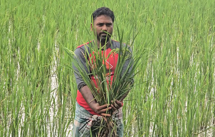 পরবর্তীতে ডিলার কৃষকদের সঙ্গে কথা বলে ক্ষতিপূরণ হিসেবে ৬৩ শতাংশ জমির অনুকূলে ৫ হাজার টাকা করে ক্ষতিপূরণ প্রদান করেন। পরে কৃষক এবং ডিলার উভয়ই একটি সন্তুষ্টিপত্র দিয়ে আমাদের কাছ থেকে অভিযোগ প্রত্যাহার করে।
