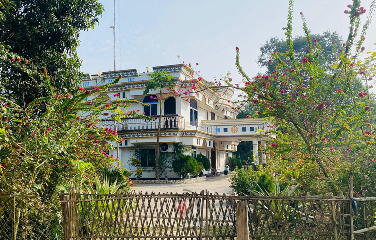 বাড়ির চারপাশে কমলা গাছ, পেয়ারা গাছ, কলা, কাঁঠাল, আম, জাম, পেঁপে, বেল, স্ট্রবেরি, জাম্বুরা, আমলকি, জলপাই, ডালিম, আঁতাপল, লেবু, কাগজিসহ শতাধিক প্রজাতির ফলের চারা লাগানো হয়েছে। এছাড়া দৃষ্টিনন্দন এ বাড়িতে আছে প্রায় অর্ধ শতাধিক প্রজাতির ফুল গাছ।  ছবি: এম মাঈন উদ্দিন