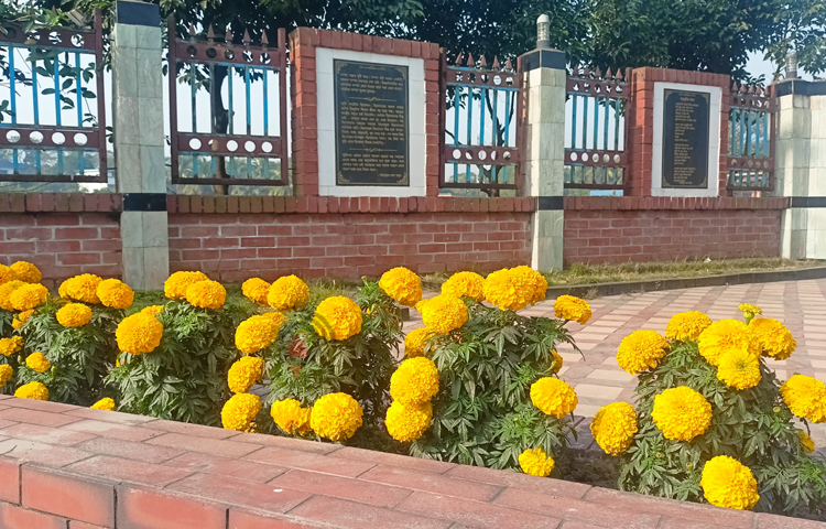পুলিশ লাইনের প্রধান ফটক ও রাস্তার দুপাশ জুড়ে শোভা পাচ্ছে নানা রঙের গাঁদা ফুল। ফুলের আকার অন্যান্য গাঁদার তুলনায় বেশ বড়। অনেকেই পুলিশ লাইনের সামনে দাঁড়িয়ে ফুলের সৌন্দর্য উপভোগ করতে দেখা গেছে। ছবি: বিধান মজুমদার অনি
