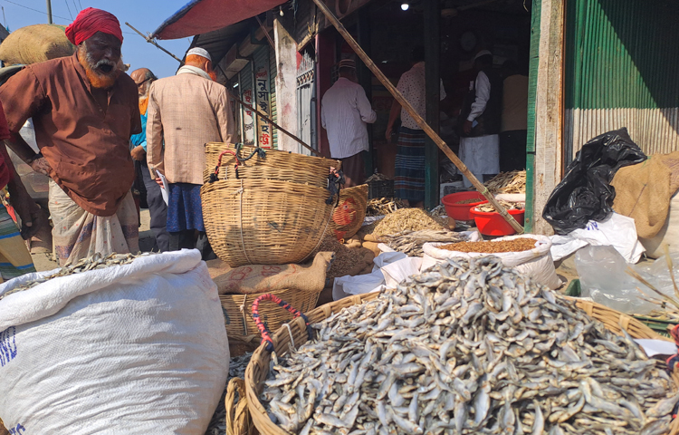 জলপথে পণ্য আনা নেওয়া সহজ হওয়ায় হাটের ঘাটে ভিড়তো শত শত মণ বোঝায় ধান, পাট, চাল, গমসহ বিভিন্ন শস্য ও সবজিবাহী নৌকার বহর। সকাল থেকে রাত অবধি চলতো বেচাকেনা। ছবি: নাসিম উদ্দিন