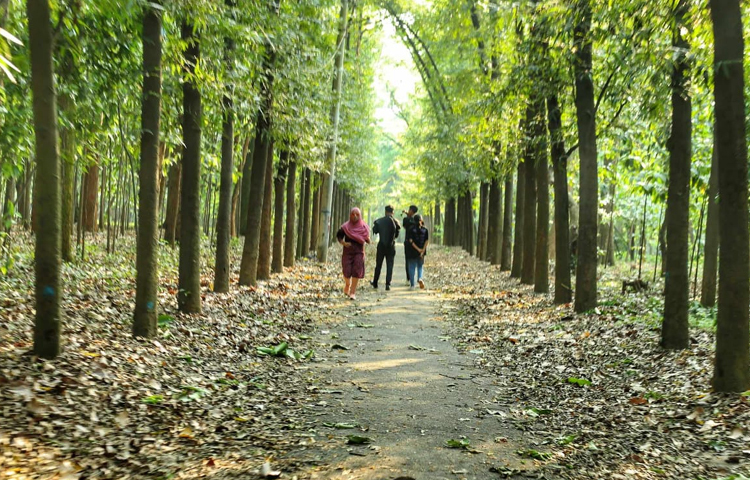 ঢাকার ভিতর প্রাকৃতিক এক মনোরম সৌন্দর্যের জায়গা এটি। প্রতিবছর প্রায় ১৫ লাখ দর্শনার্থী উদ্যানটিতে বেড়াতে আসেন। ছবি: মাহবুব আলম