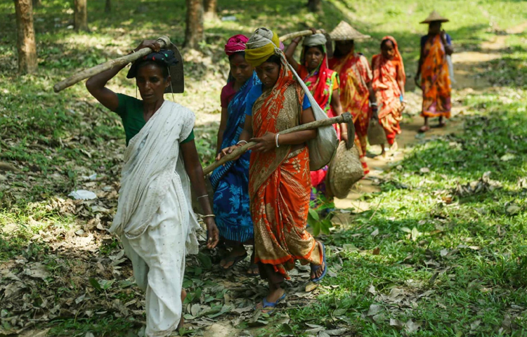 সকাল সকাল কোদাল, ঝুড়ি মাথায় নিয়ে চা বাগানে যাচ্ছেন শ্রমিকরা। ছবি: মাহবুব আলম