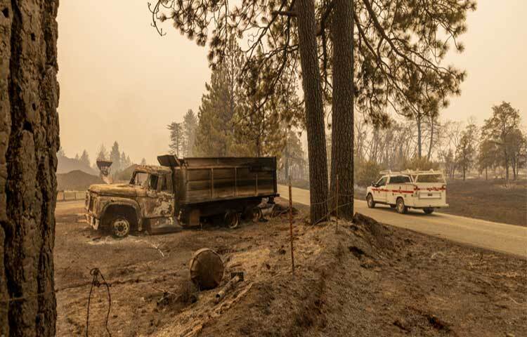যুক্তরাষ্ট্রের ক্যালিফোর্নিয়ায় অঙ্গরাজ্যের উত্তরাঞ্চলে ছড়িয়ে পড়া দাবানল নিয়ন্ত্রণের বাইরে চলে গেছে। শনিবার সকাল পর্যন্ত এই দাবানলে প্রায় ৩ লাখ ৫০ হাজার একর (১ লাখ ৪২ হাজার হেক্টর) এলাকা পুড়ে গেছে। ছবি: এএফপি