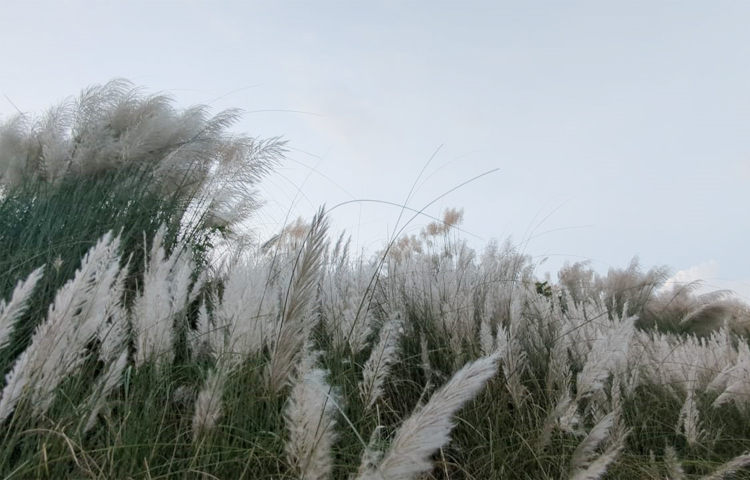 ফলে যেখানেই মানুষ প্রাকৃতিক পরিবেশ পাচ্ছে; তাতেই ঝাঁপিয়ে পড়ছে। তাছাড়া এলাকাটি পৌর শহরের কাছে ও নিরাপদ হওয়ায় দিন দিন লোক সমাগম বেড়েই চলেছে। ছবি: আব্দুর রহমান আরমান