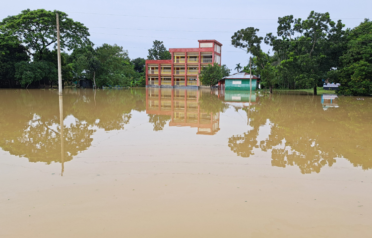 নেত্রকোনায় মুষলধারে বৃষ্টি হয়েছে। এতে আজ আবার বেড়েছে বন্যার পানি। প্লাবিত হয়েছে নতুন নতুন এলাকা। গত ২৪ ঘণ্টায় নেত্রকোনার ঝাঞ্জাইল এলাকায় ৬৫ মিলিমিটার বৃষ্টিপাত রেকর্ড করা হয়। ছবি: জাগো নিউজ