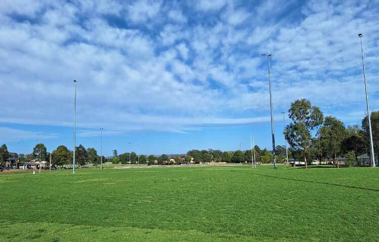 সকালের রোদ্দুরে সবুজ আর নীলের মিতালি। ছবি: মো. ইয়াকুব আলী