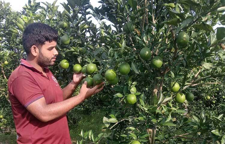 সরকারি প্রণোদনা এবং সুযোগ-সুবিধা পেলে উজ্জ্বল দৃষ্টান্ত স্থাপনের প্রত্যাশা ব্যক্ত করেন তরুণ এ উদ্যোক্তা।