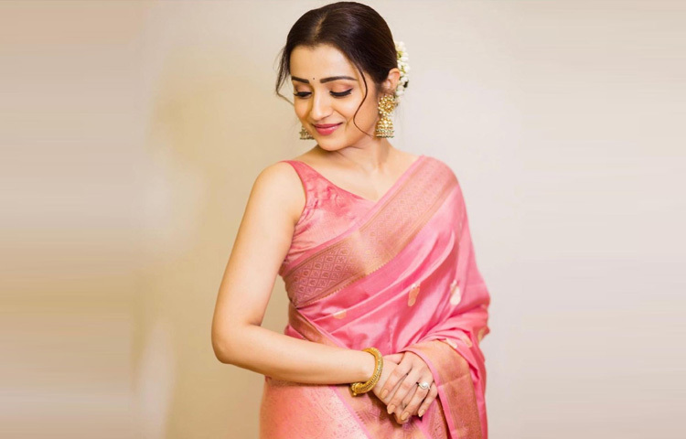 মডেলিংয়ের মাধ্যমে রঙিন দুনিয়ায় পা রাখেন তৃষা।