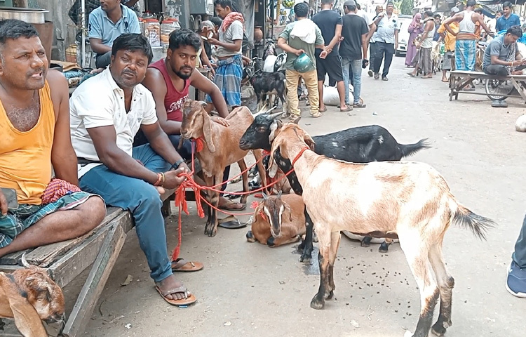 কলকাতা পুলিশ জানিয়েছে, কোরবানির দিন যেন কোথাও কোনো অপ্রীতিকর ঘটনা না ঘটে, সে বিষয়ে তারা কড়া নজরদারিতে থাকবে। শহরের বিভিন্ন স্থানে বাড়ানো হয়েছে নজরদারি এবং মোতায়েন করা হয়েছে অতিরিক্ত পুলিশ ফোর্স।