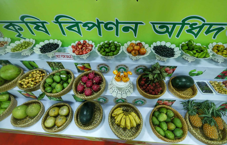 দেশি স্বাদের প্রতি এই টানই যেন প্রমাণ করে, সুস্বাস্থ্য আর স্বনির্ভরতার জন্য দেশি ফলের বিকল্প নেই। শুধু চোখে দেখার নয়, স্বাদে-গন্ধে এই উৎসব যেন হয়ে উঠেছে এক চিরচেনা গ্রামবাংলার স্বাদভরা অনুভব।