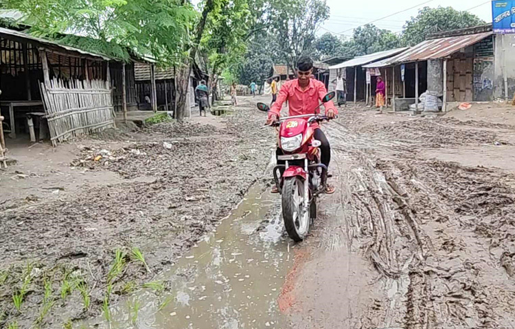 স্থানীয় বাসিন্দা শরিফুর রহমান বলেন, ‘১৭ বছর ধরে রাস্তার এ দশা। আমরা প্রতিবছর এমন করে ধান লাগিয়ে প্রতিবাদ জানাই। কিন্তু কোনো সাড়া মেলে না। হয়তো ধান ফললে তবেই কেউ দেখবে।’