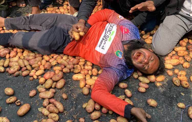 রাস্তায় ফেলে দেওয়া আলুর ওপর শুয়ে অনেকেই কান্নায় ভেঙে পড়েন।