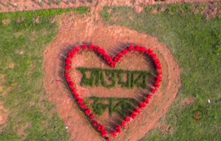 সেই বাগানের নাম দিয়েছেন ‘ফ্লাওয়ার লেক’। পড়ালেখার পাশাপাশি জমানো টাকা দিয়ে সাত বন্ধু মিলে বাগানটি গড়েছেন। যে বাগানটিতে রয়েছে পিটুনিয়া, সেলভিয়া, সেলুসিয়া, ডালিয়া, গেজিনিয়া, গাদা, কসমস, চন্দ্রমলিকাসহ মোট ২৫ ধরনের ফুল।  ছবি: লিপসন আহমেদ