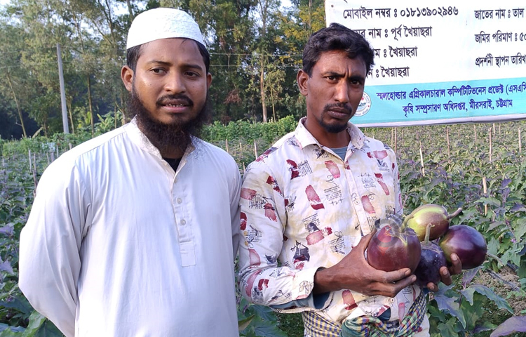 Jinsiy olatdagi porno